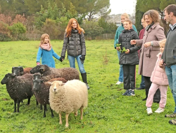 Des enfants et des parents autour d'un troupeau de moutons