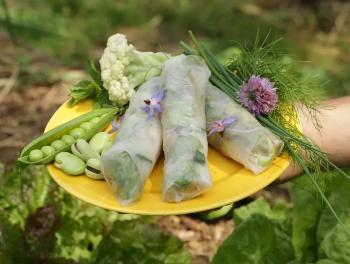 une main tient une assiette jaune dans laquelle 3 rouleaux de printemps sont disposés avec un bouquet d'herbes fraîches, du chou-fleur, des fèves et des petits pois, disposés autour