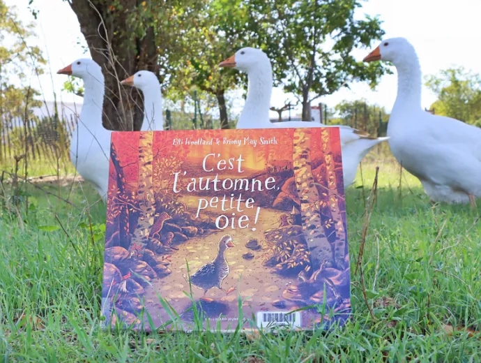 Photo du livre "C'est l'automne petie oie" posé au sol dans pré avec derrière 4 oies qui se déplacent en file indienne