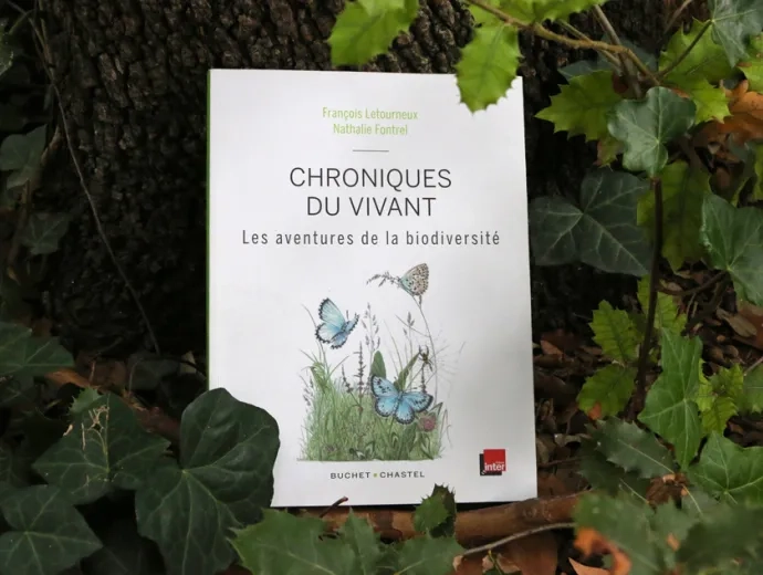 Le livre Chroniques du vivant est présenté aux pieds de plantes