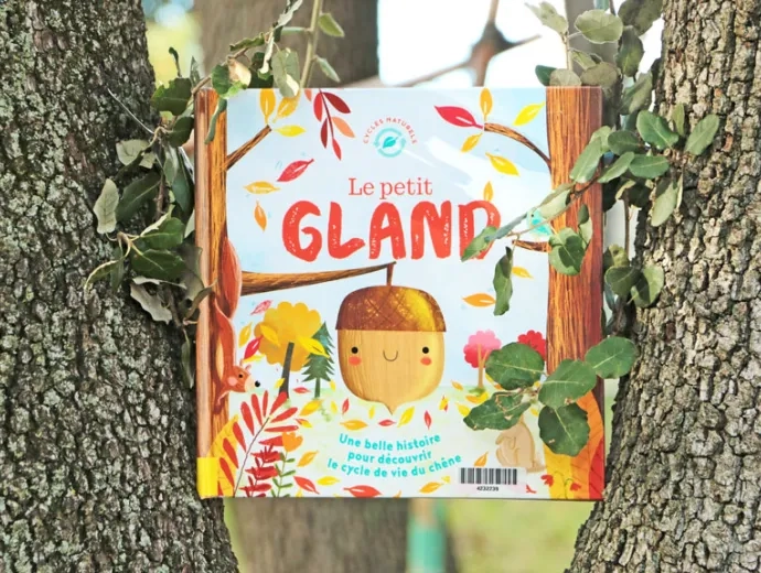 Le livre Le petit gland est exposé face 1ere de couverture, au creux d'un tronc d'arbre
