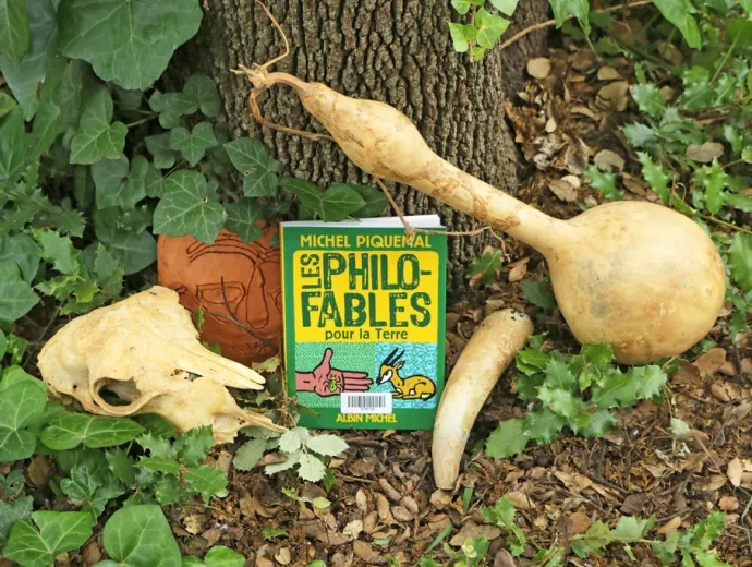 Le livre Les philo-fables est exposé au pied d'un arbre entouré d'une calebasse, d'un crâne d'animal et d'autres éléments naturels