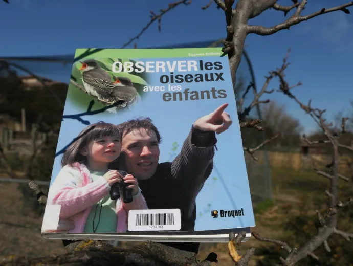 Le livre Observer les oiseaux avec les enfants est présenté sur une branche en extérieur, dans un pré