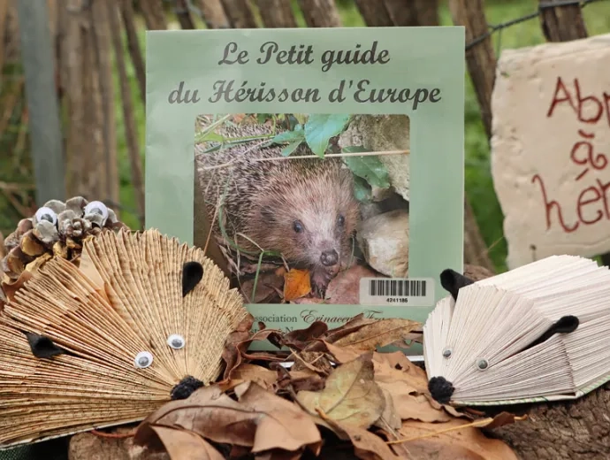 On voit le Petit guide du hérisson d'Europe posé droit, couverture de face,  et entouré de feuilles mortes et de hérissons fabriqués avec des matériaux de récupération