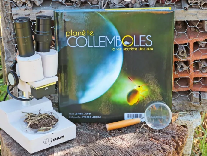 Le livre Planète collemboles est présenté entouré d'un microscope et d'une loupe, proche d'un abri à insectes.
