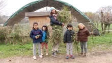 Un groupe d'enfants et leur animatrice ramassent des papyrus