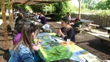 des adultes font plusieurs activités en extérieur sur des tables