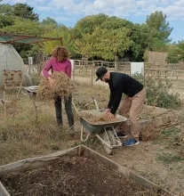 Des participants ramène de la paille pour le sol