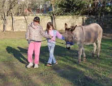 deux enfants promènent un âne