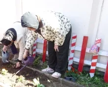 Les participants arrosent les plants.