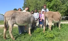 Un groupe d'enfants et leur animateur posent derrière deux ânes