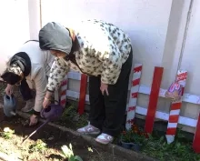 Les participants arrosent les plants.