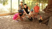 Vacances d'été - 29 juillet au 2 août 2024