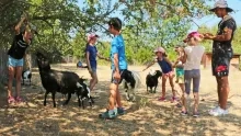 Vacances d'été - 29 juillet au 2 août 2019