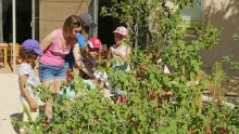 Vacances d'été - 13 au 17 août 2018