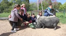 Vacances de printemps - 8 au 12 avril 2024