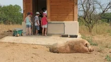 Vacances d'été - 27 au 31 juillet 2020