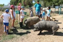 Vacances d'été - 15 au 19 juillet 2019