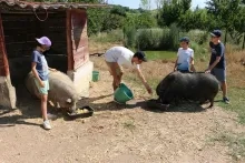 Vacances d'été - 23 au 27 juillet 2018