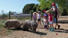 Vacances d'été - 24 au 28 août 2020