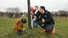 Mercredis de février 2017