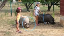 Vacances d'été - 8 au 12 août 2016