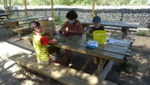 Vacances d'été - 26 au 30 juillet 2021