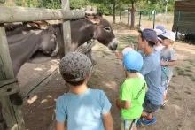 Vacances d'été - 27 au 31 août 2018