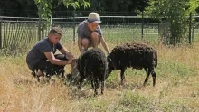 Vacances d'été - 16 au 20 juillet 2018