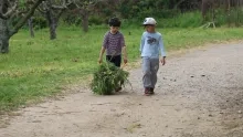 Vacances de printemps - 25 au 29 avril 2016