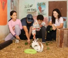 Un groupe d'enfants et leur animateur tendent des brins d'herbe à un lapin