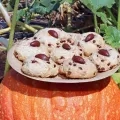 7 cookies dans une assiette posée sur une courge