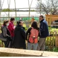 Un agent et un groupe d'adulte observent le jardin des possibles de l'Écolothèque