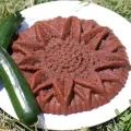 Gâteau marron et deux courgettes sur une assiette blanche posée sur de l'herbe