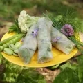 une main tient une assiette jaune dans laquelle 3 rouleaux de printemps sont disposés avec un bouquet d'herbes fraîches, du chou-fleur, des fèves et des petits pois, disposés autour