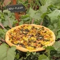 Une tarte aux légumes posée dans le potager à côté d'un panneau indiquant « chou-fleur »