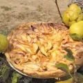 Une tarte aux poires et au chocolat est installée dans un poirier avec des poires autour