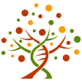 Illustration d'un arbre phylogénétique à partir d'une double hélice d'ADN