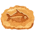 Fossile de poisson