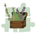 Illustration d'une malle en bois remplie de plantes aromatiques