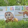 Les livres 1001 manières de sentir et de se nourrir sont exposés en extérieur dans l'herbe