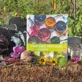 Le livre Peintures végétales avec les enfants est présenté sur une botte de paille, entouré de légumes et plantes colorés et d'un pot de pinceaux
