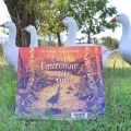 Photo du livre "C'est l'automne petie oie" posé au sol dans pré avec derrière 4 oies qui se déplacent en file indienne