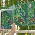 Une tablette numérique vise un des oiseaux présents sur le livre Ecoute les oiseaux déplié et exposé sur une grille