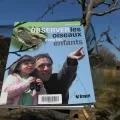 Le livre Observer les oiseaux avec les enfants est présenté sur une branche en extérieur, dans un pré