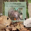On voit le Petit guide du hérisson d'Europe posé droit, couverture de face,  et entouré de feuilles mortes et de hérissons fabriqués avec des matériaux de récupération