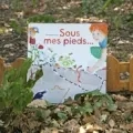 Le livre Sous mes pieds est exposé au sol, dans un sous bois entouré de feuilles mortes