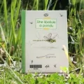 Le livre Une libellule a pondu est exposé au sol, dans l'herbe.