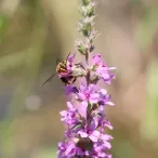 Vacances d'été - 9 au 13 juillet 2018