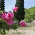 Mercredis de mai 2018
